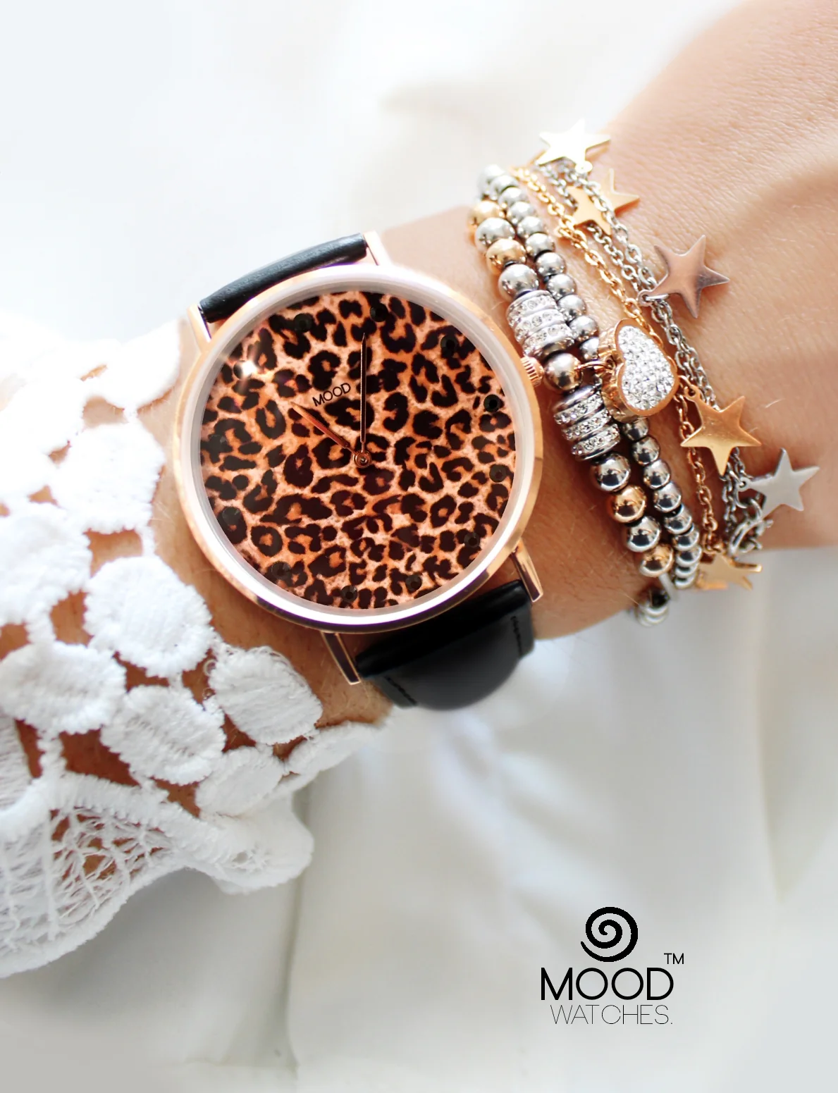 LEOPARD - Image 2